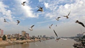 الأرصاد الجوية: انحسار الكتلة الحارة واعتدال الأجواء بدءاً من الأربعاء